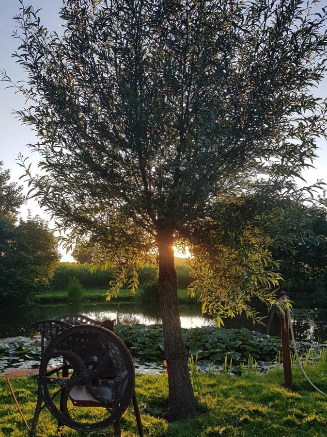Op Ut Schoor Sint-Oedenrode Exterior foto