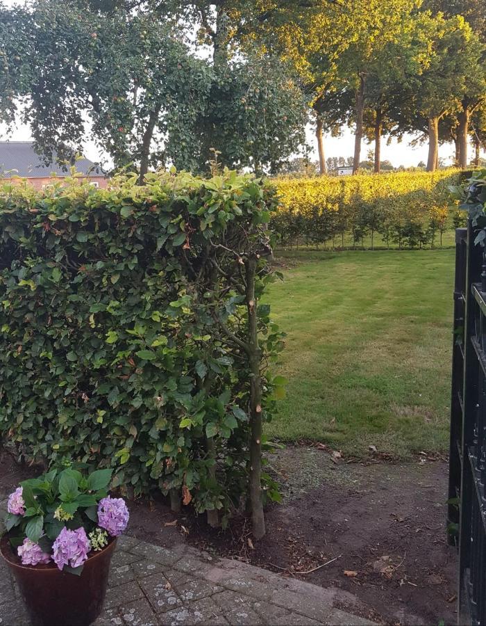 Op Ut Schoor Sint-Oedenrode Exterior foto